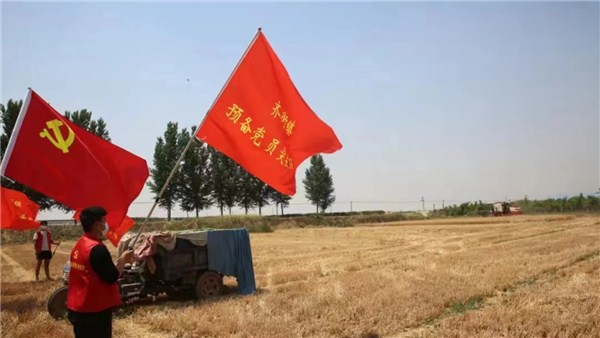  河南麥?zhǔn)招聢D景丨金色麥浪里的一抹紅，原陽600余名黨員